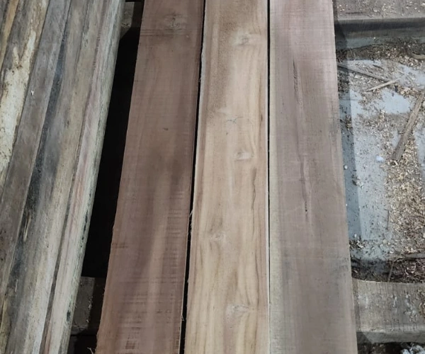 Teak Wood in Chennai